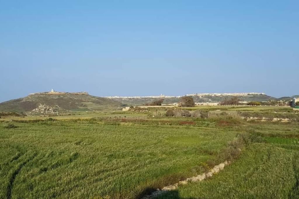 Farmhouse Villa With Large Pool And Garden In Gozo Għarb Exteriör bild